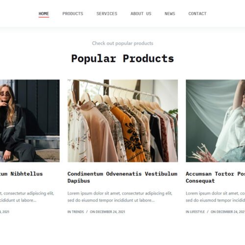 ITM-001-05 startup-ready online store using pre-installed WordPress tools