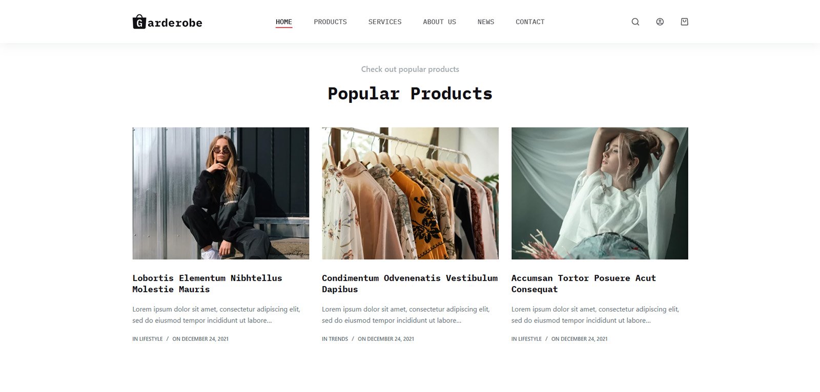ITM-001-05 startup-ready online store using pre-installed WordPress tools