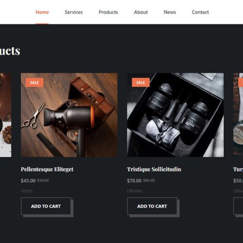 ITM-006-04 Popular products section with featured grooming tools — e-commerce layout designed to drive sales and engagement