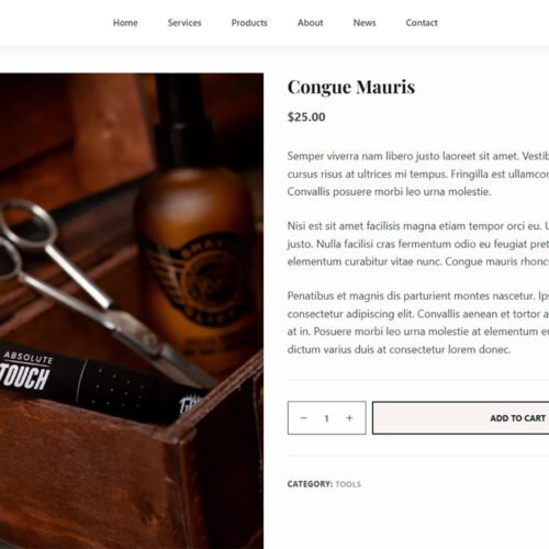 ITM-006-05 Straytags-built WordPress website — launch your online store or service business with zero coding
