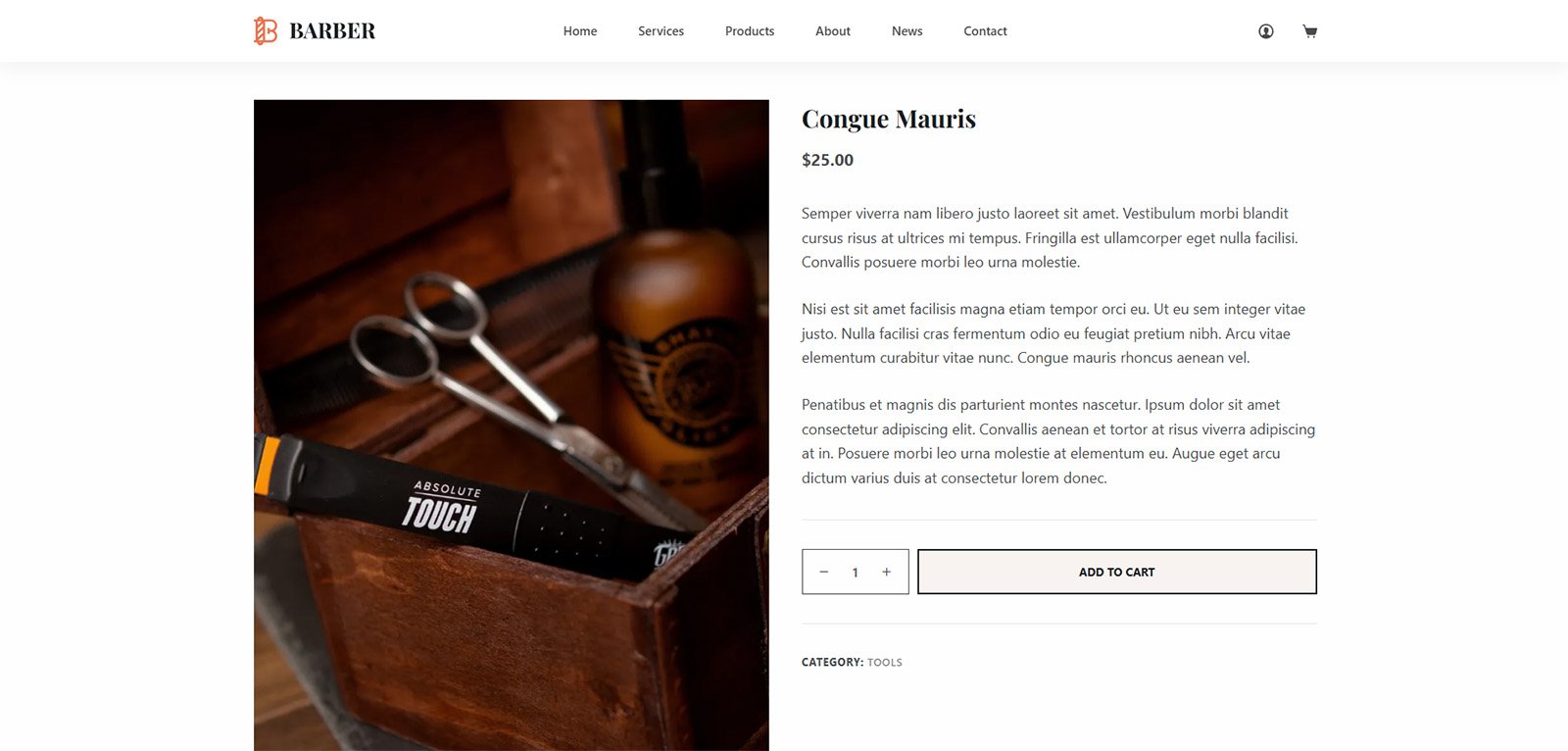 ITM-006-05 Straytags-built WordPress website — launch your online store or service business with zero coding