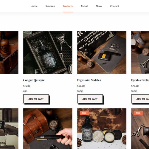 ITM-006-07 Shop page with product grid and category filters — SEO optimized WordPress store for grooming products