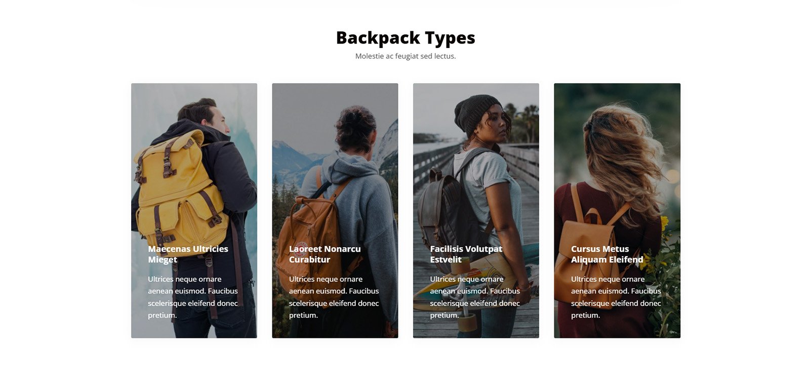 ITM-010-01 Visual promo block with image + text composition — buy website for business with zero development hassle