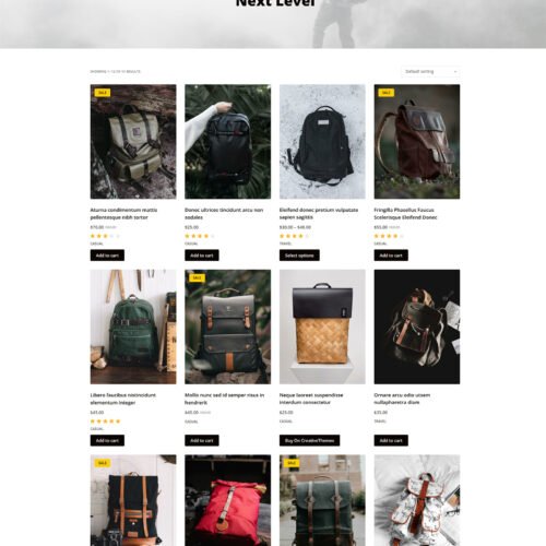 ITM-010-03 Product listing in four-column layout — fast-loading WooCommerce storefront with flexible content blocks