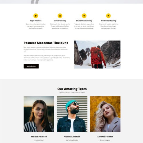 ITM-010-05 Category section with structured visuals — prebuilt WordPress website optimized for easy browsing