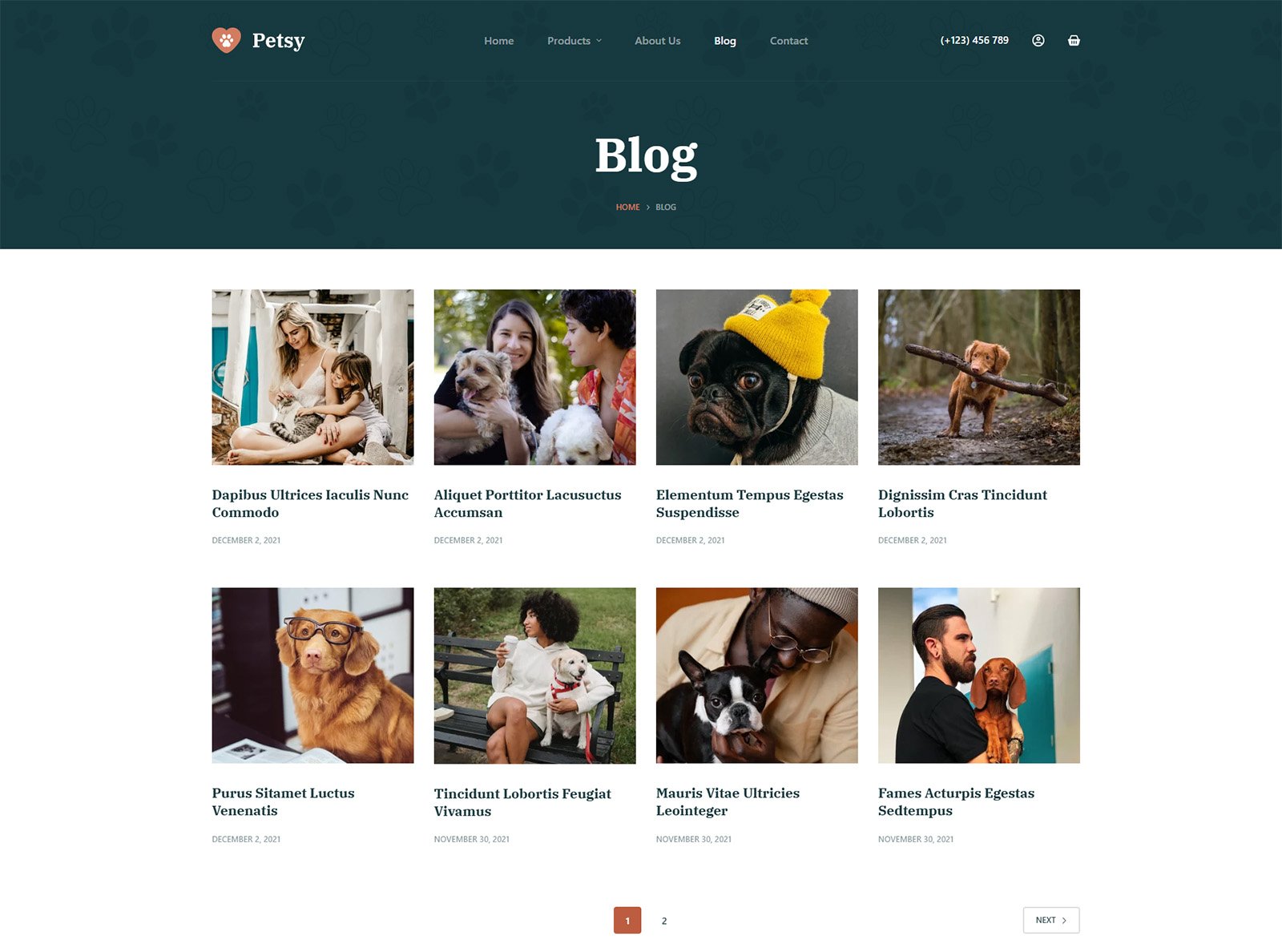 ITM-014-03 blog section designed for SEO strategy in WordPress website for practical products