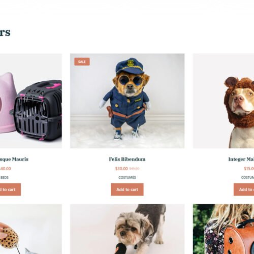 ITM-014-05 bestseller section on homepage showcasing top everyday products in online store