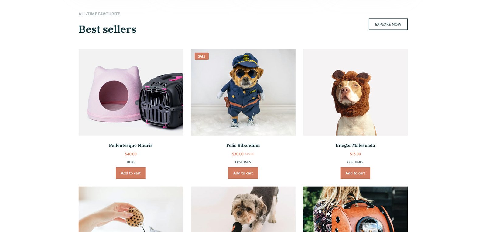 ITM-014-05 bestseller section on homepage showcasing top everyday products in online store