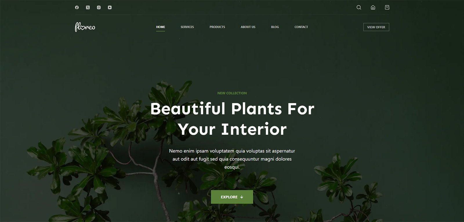 ITM-07-01 Floreo homepage banner with eco aesthetic — modern web design for healthy lifestyle and wellness stores