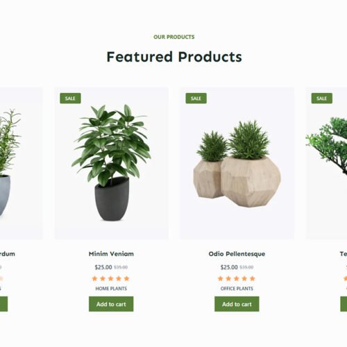 ITM-07-02 Product catalog with advanced filters and clean design — ready-made e-commerce layout for wellness brands
