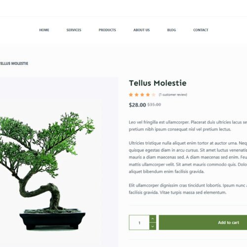 ITM-07-03 Product detail page with natural skincare layout — SEO-friendly WooCommerce site for eco-conscious online stores