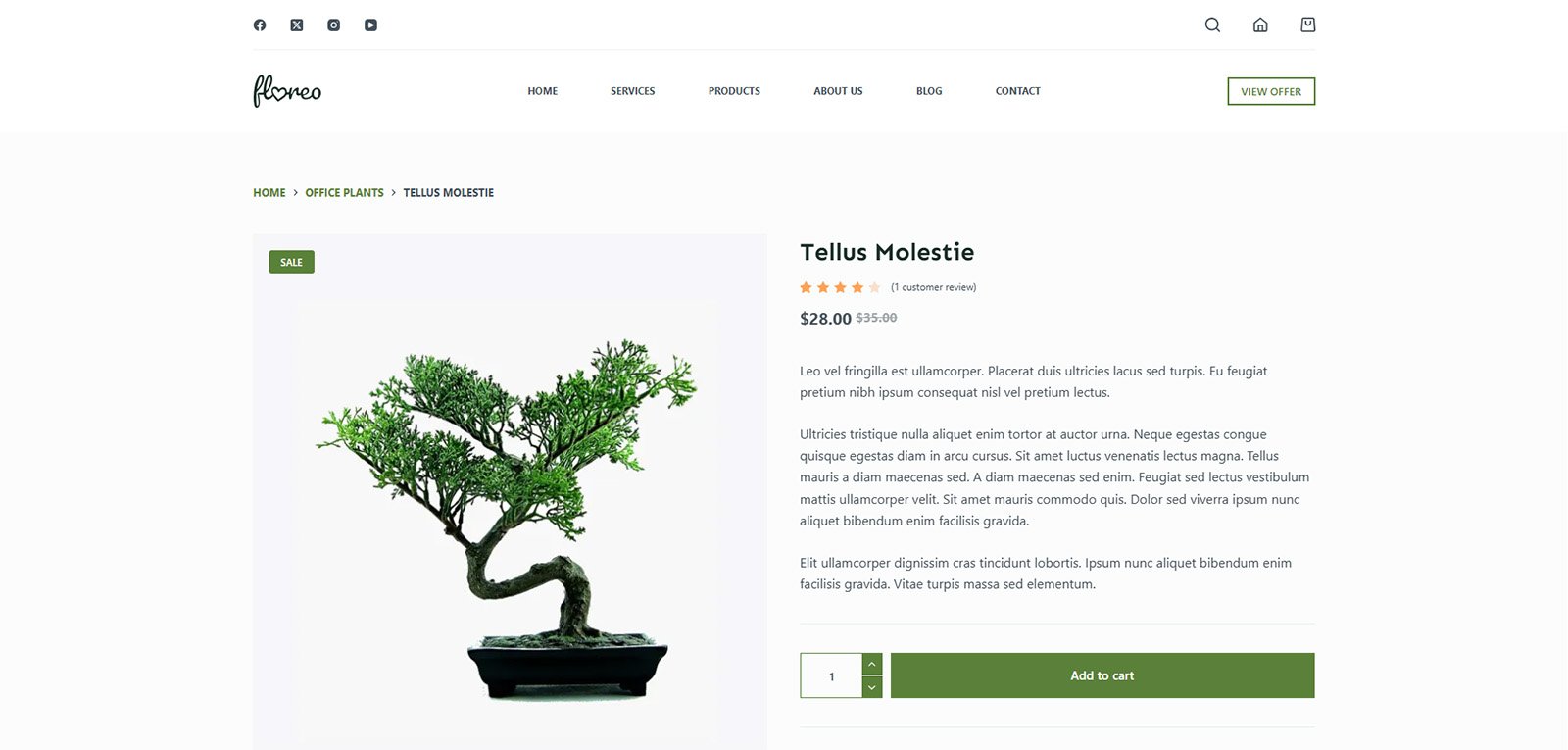 ITM-07-03 Product detail page with natural skincare layout — SEO-friendly WooCommerce site for eco-conscious online stores