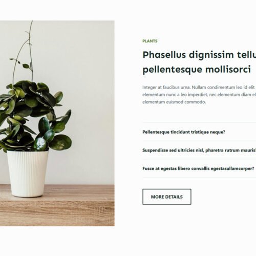 ITM-07-04 Newsletter block for lead capture — prebuilt layout to grow email list and increase retention