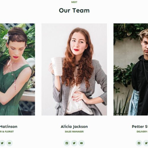 ITM-07-07 Team section with clean green-themed design — WordPress business website for ethical and sustainable brands