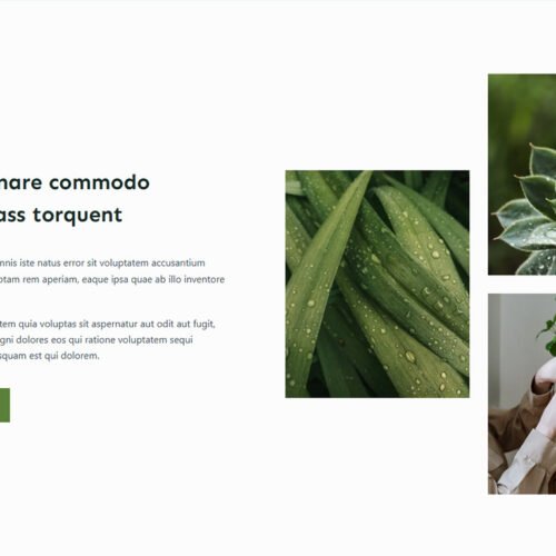 ITM-07-08 Services page formatted like a premium magazine — professional online presence for eco salons and wellness centers