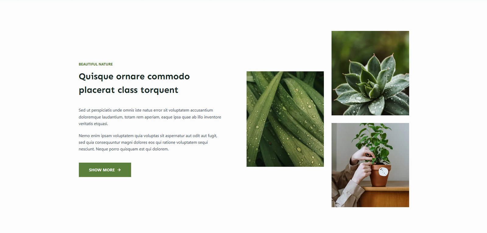 ITM-07-08 Services page formatted like a premium magazine — professional online presence for eco salons and wellness centers