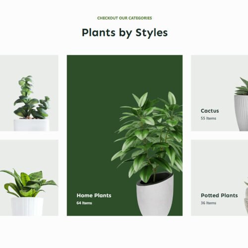 ITM-07-09 Homepage category grid from the Floreo WordPress e-commerce site, featuring a modern layout and ready-made design for lifestyle products.